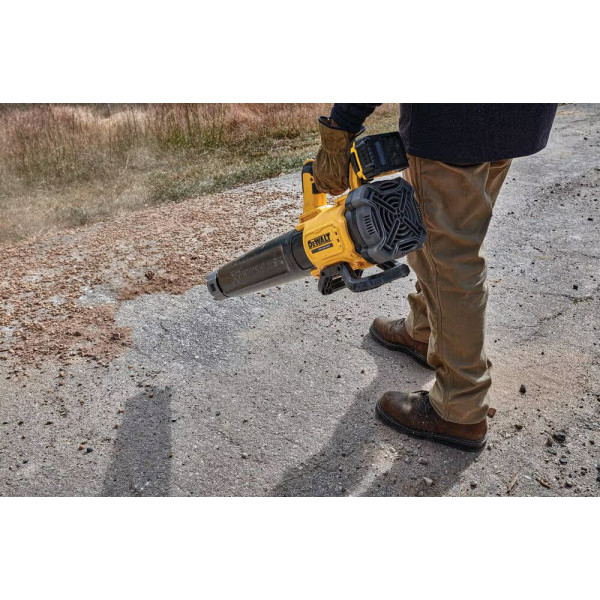 Фото - Повітродувка акумуляторна DeWALT DCMBL562P1