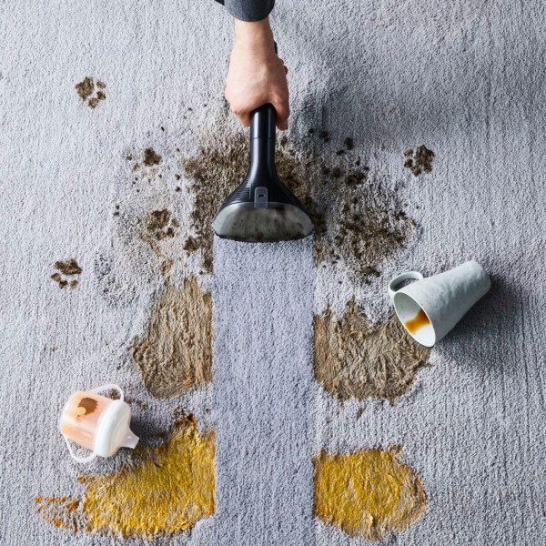 Фото - Шампунь для пылесосов моющих Rowenta XD5320F0 CLEAN IT PET  ACC