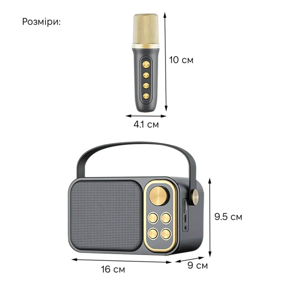 Фото - Портативна акустика INSPIRE караоке YS-105 Black