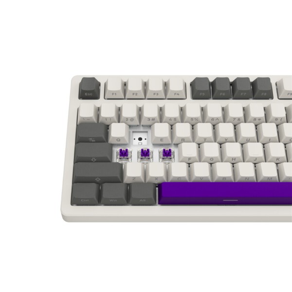 Фото - Клавиатура беспроводная игровая Lorgar KBP70TKLW Wireless TKL Mechanical Pro Beige (LRG-KBP70TKLW-RT-US)