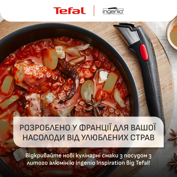 Фото - Набор посуды со съемной ручкой Tefal L867S604 Ingenio Inspiration 6 пр.