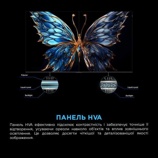 Фото - Телевізор TCL 55P6K