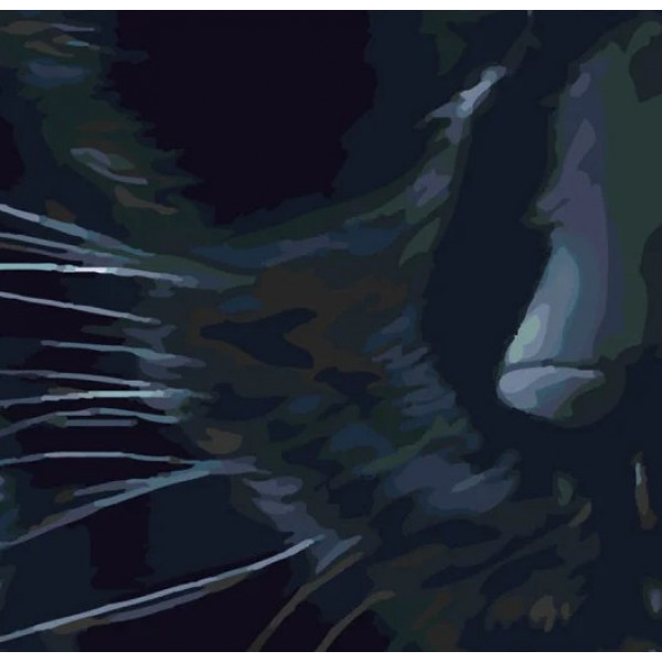 Фото - Картина за номерами Strateg Холодний погляд 40х50 см (SY6333)