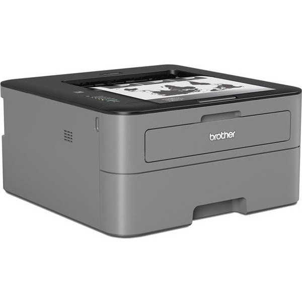 Фото - Принтер Brother HL-L2300DR