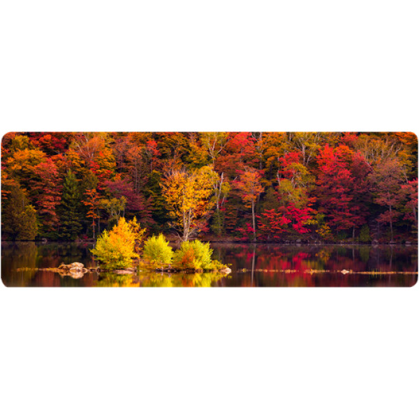 Фото - Килимок для миші Voltronic Autumn forest (AT372)