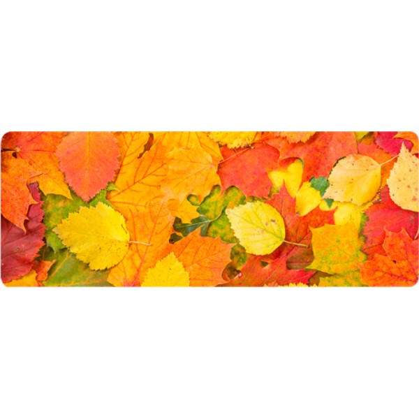 Фото - Килимок для миші Voltronic Autumn leaves (FL372)