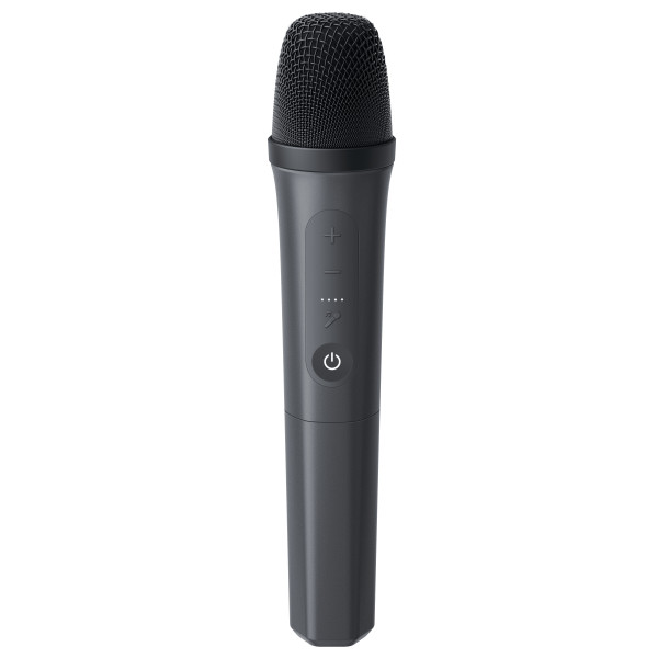 Фото - Акустическая система Anker SoundСore Rave 3S Black (A31A3012)