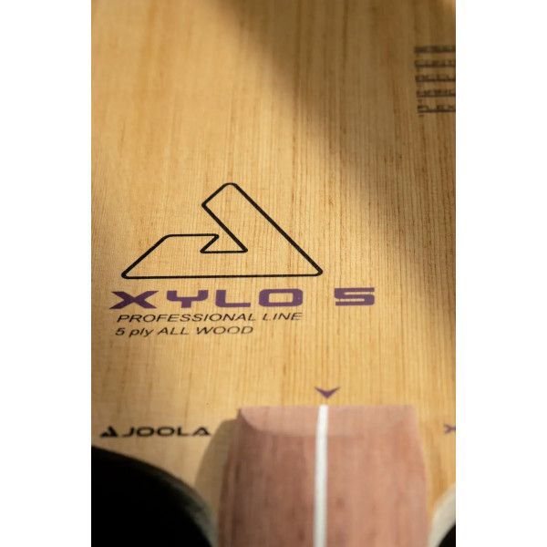 Фото - Основа для ракетки Joola XYLO 5 FL (65080)