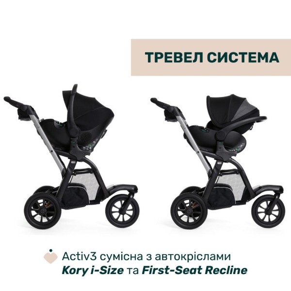 Фото - Коляска універсальна 2 в 1 Chicco Activ3 кол. 31 (87154.31.01)