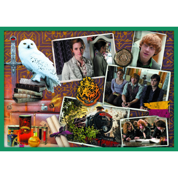 Фото - Пазли (8 +) Trefl 10в1 У світі Гаррі Поттера (03928)