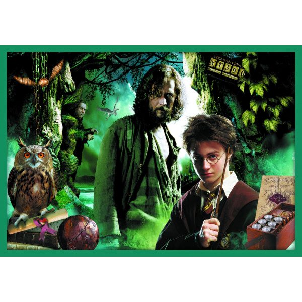 Фото - Пазли (8 +) Trefl 10в1 У світі Гаррі Поттера (03928)