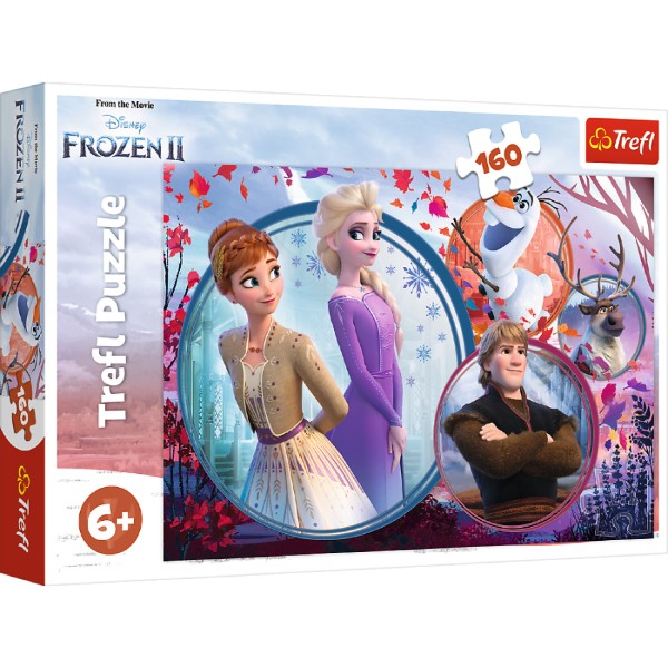 Фото - Пазли (5-7 років) Trefl Frozen Пригода сестри 160 ел. (53743)