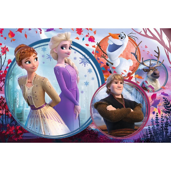 Фото - Пазли (5-7 років) Trefl Frozen Пригода сестри 160 ел. (53743)