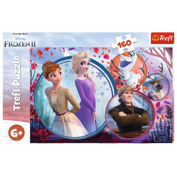 Фото - Пазли (5-7 років) Trefl Frozen Пригода сестри 160 ел. (53743)