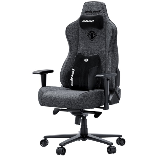 Фото - Крісло для геймерів Anda Seat Novis Plus XL Dark Grey Fabric (AD23YC-XL-01-GB-F-G04)