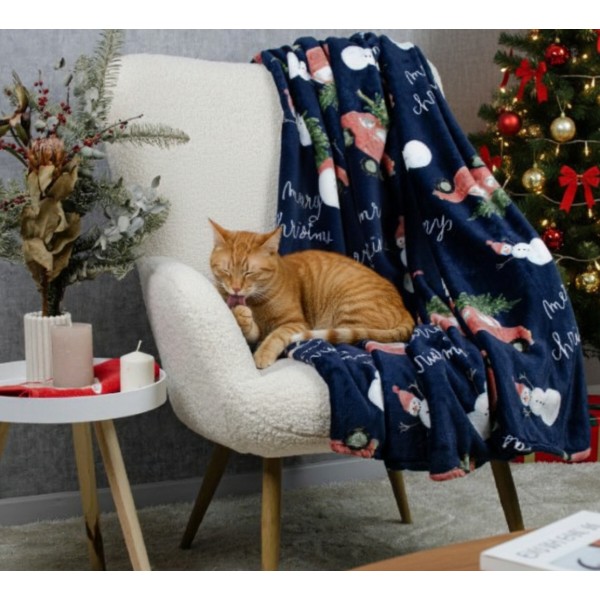 Фото - Плед двуспальный Biltex новогодний синий Holiday Haul 180х200 (4820298410574)