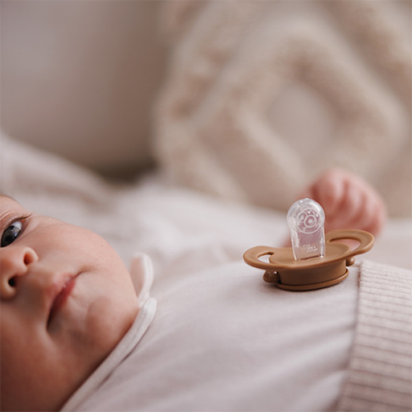 Фото - Симметричная пустышка BabyOno 0-6 мес. бежевая/коричневая (1669/01)