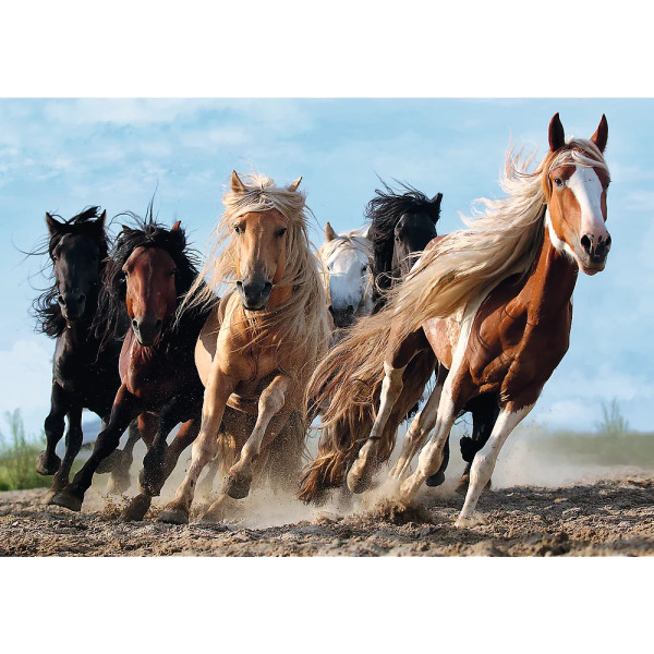 Фото - Пазли (8 +) Trefl 1000 Скачуть коні (5900511104462)