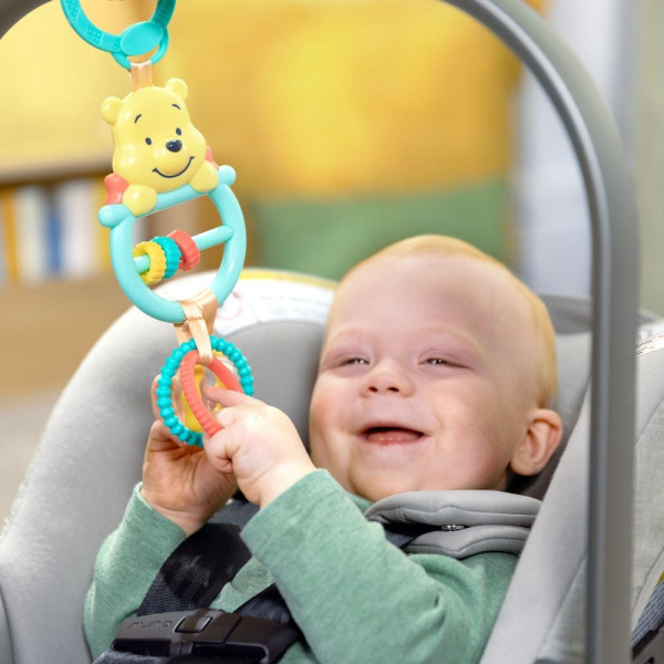 Фото - Підвіска Bright Starts Winnie the Pooh Busy Bear (17305)