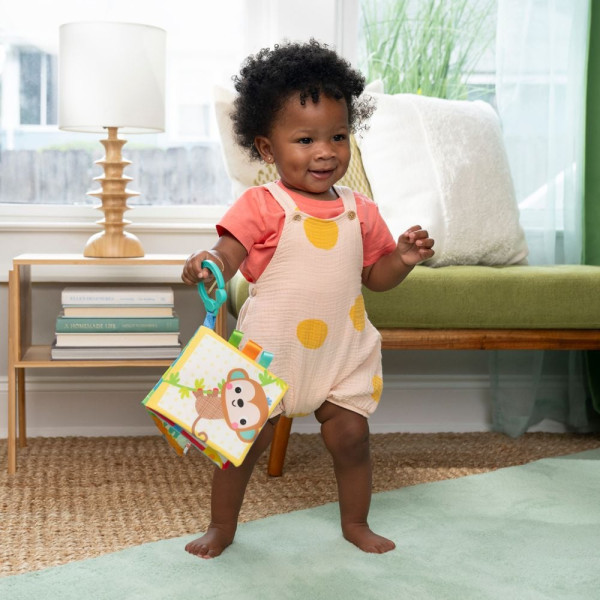 Фото - Книжка-іграшка Bright Starts Safari Buddies (17469)