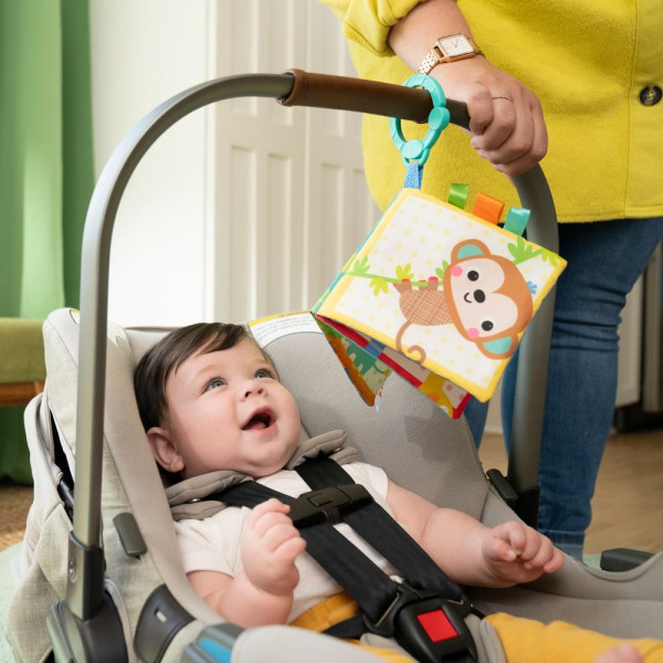 Фото - Книжка-іграшка Bright Starts Safari Buddies (17469)