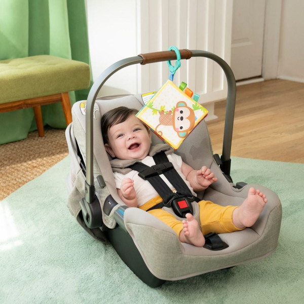 Фото - Книжка-іграшка Bright Starts Safari Buddies (17469)