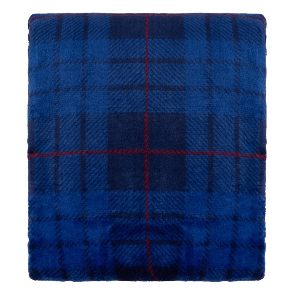 Фото - Плед двуспальный ARDESTO Flannel 160х200 см ячейка, синий (ART0134PB)