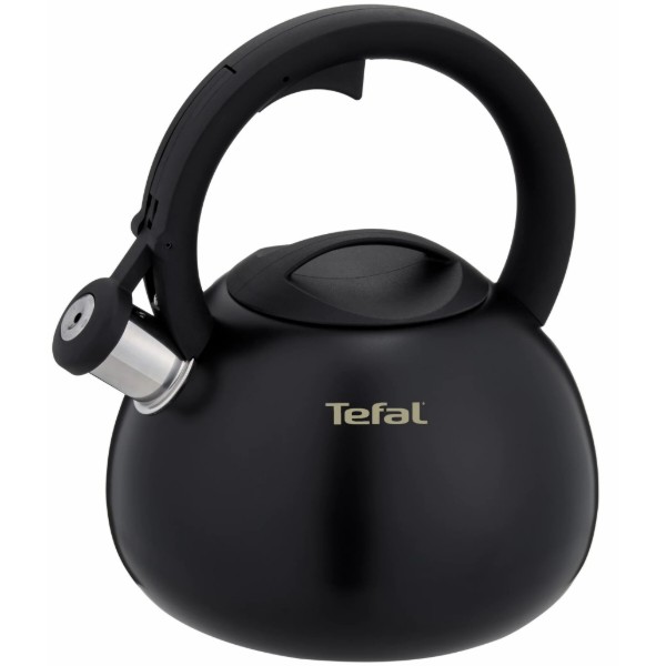 Фото - Чайник металевий Tefal N4180410 Duetto+ 2,5 л Фото - Чайник металевий Tefal N4180410 Duetto+ 2,5 л