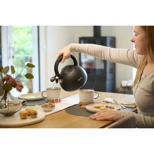 Фото - Чайник металевий Tefal N4180410 Duetto+ 2,5 л