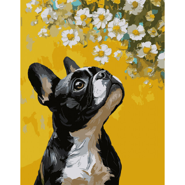 Фото - Картина за номерами Santi Бульдог і квіти 40х50 см (955746) Фото - Картина за номерами Santi Бульдог і квіти 40х50 см (955746)