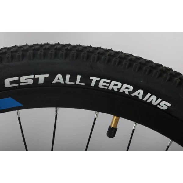 Фото - Двухколёсный велосипед Forte Extreme 21"/29" Blue