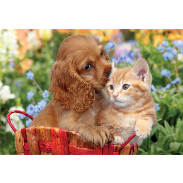 Фото - Пазли (3-4 роки) Clementoni Noli Cute Friends серія MAXI 104 ел. (25763)