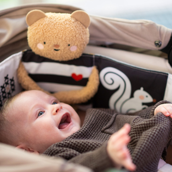 Фото - Книжка-іграшка Taf Toys 2в1 – ОБІЙМИ ВЕДМЕДИКА (13795)