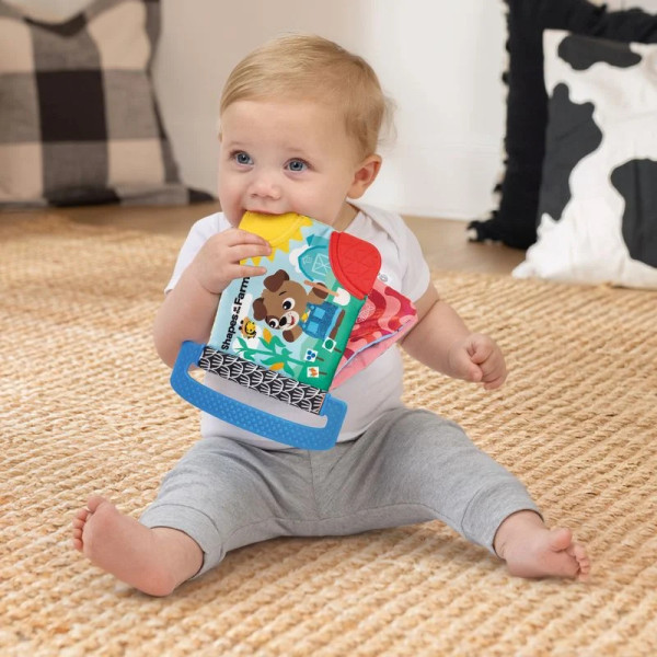Фото - Книжка-игрушка Baby Einstein Shapes at the Farm (17614)