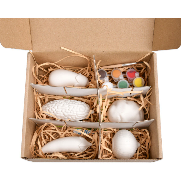 Фото - Набір для декупажу та розпису Strateg Гіпсові розмальовки: розфарбуй овочі (31000)