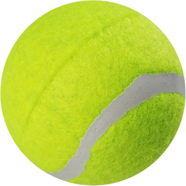 Фото - Набір м'ячів для настільного тенісу X-Treme 2 шт. (XT TB2 HH)