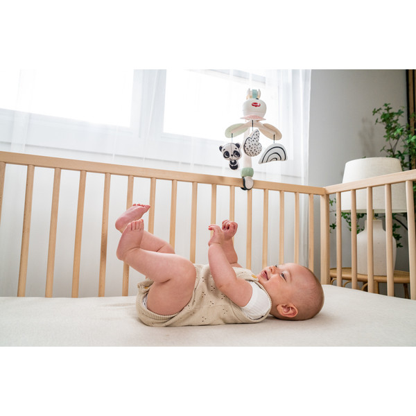 Фото - Мобиль интерактивный Tiny Love 3в1 День-ночь (1308106830)