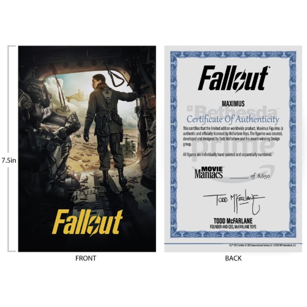 Фото - Колекційна фігурка McFarlane Toys Fallout Maximus - S2 15 см (14127)