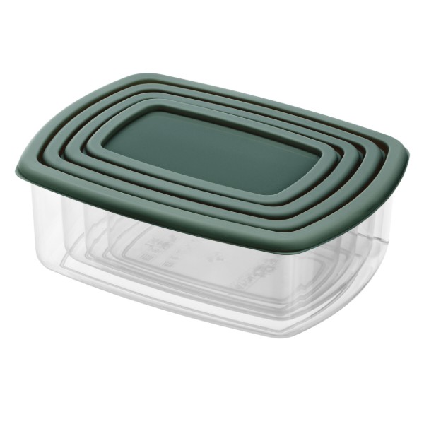 Фото - Набір ємностей для зберігання ARDESTO Fresh 0.25/0.5/0.75/1.2л Green (AR1312G) Фото - Набір ємностей для зберігання ARDESTO Fresh 0.25/0.5/0.75/1.2л Green (AR1312G)