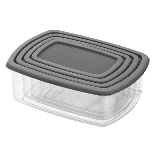 Фото - Набір ємностей для зберігання ARDESTO Fresh 0.25/0.5/0.75/1.2л Gray (AR1312R) Фото - Набір ємностей для зберігання ARDESTO Fresh 0.25/0.5/0.75/1.2л Gray (AR1312R)