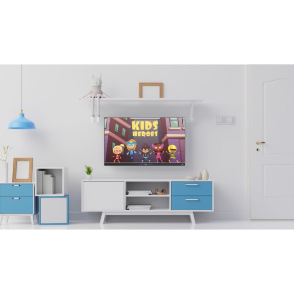 Фото - Телевизор Ergo 24JHS6800