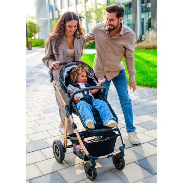 Фото - Коляска універсальна 2 в 1 Lionelo Amber Beige Sand