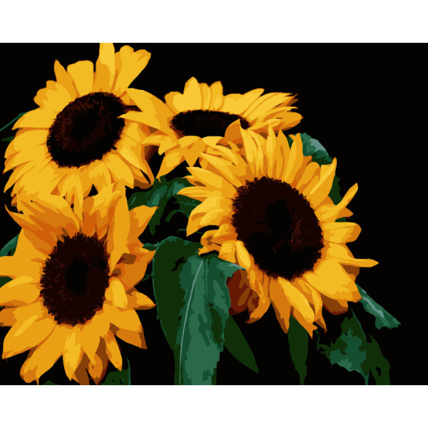 Фото - Картина за номерами Strateg Яскраві соняхи на чорному фоні 40х50 см (AH1185-13)