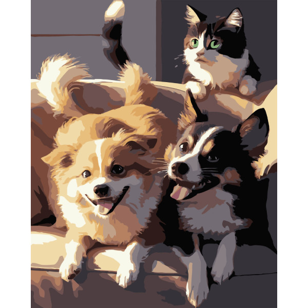 Фото - Картина за номерами Strateg Дві собаки і кіт на чорному фоні 40х50 см (AH1190-17)