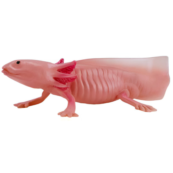 Фото - Фигурка животного Mojo Аксолотль (381108)