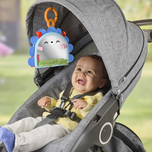 Фото - Підвіска Fisher-Price Портативне дзеркальце 2-в-1 для малюка (JHB45)