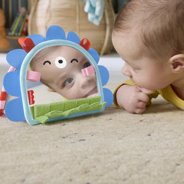 Фото - Підвіска Fisher-Price Портативне дзеркальце 2-в-1 для малюка (JHB45)