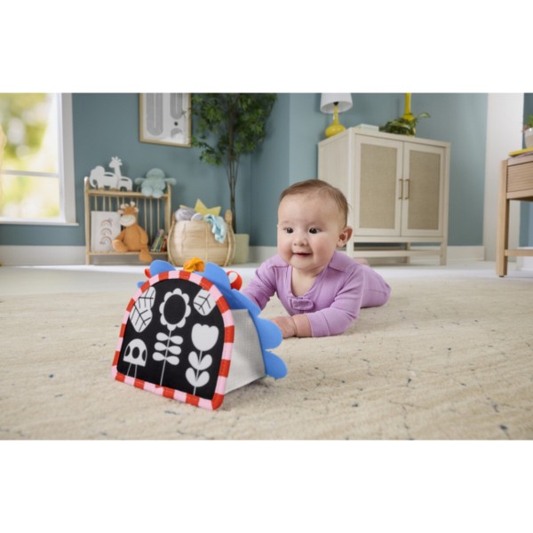 Фото - Підвіска Fisher-Price Портативне дзеркальце 2-в-1 для малюка (JHB45)