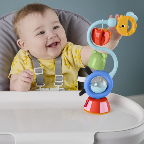 Фото - Брязкальце Fisher-Price Іграшка на присосці "Жабка й бджілка" (JHB46)