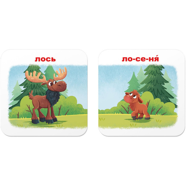 Фото - Картки навчальні Crystal Book Розумні. Зоопарк. Хто чиє малятко? 30 карток (9786175475881)